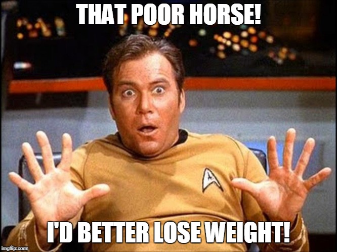 THAT POOR HORSE! I'D BETTER LOSE WEIGHT! | made w/ Imgflip meme maker