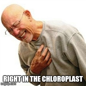 Right In The Childhood Meme | RIGHT IN THE CHLOROPLAST | image tagged in memes,right in the childhood | made w/ Imgflip meme maker