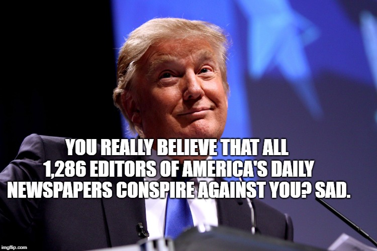 Donald Trump | YOU REALLY BELIEVE THAT ALL 1,286 EDITORS OF AMERICA'S DAILY NEWSPAPERS CONSPIRE AGAINST YOU? SAD. | image tagged in donald trump | made w/ Imgflip meme maker