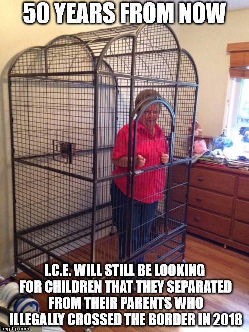 "It is a daunting task, but we are doing everything we can to unite the families as quickly as possible" | 50 YEARS FROM NOW; I.C.E. WILL STILL BE LOOKING FOR CHILDREN THAT THEY SEPARATED FROM THEIR PARENTS WHO ILLEGALLY CROSSED THE BORDER IN 2018 | image tagged in memes,cage | made w/ Imgflip meme maker