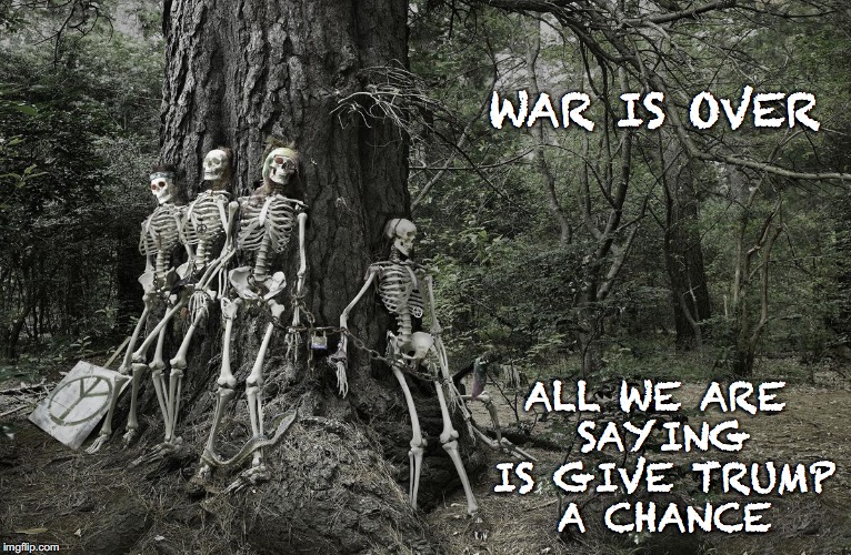 Hey Man Is Trump President Yet | WAR IS OVER; ALL WE ARE SAYING IS GIVE TRUMP A CHANCE | image tagged in hey man is trump president yet,hippies,trump,peace man,memes | made w/ Imgflip meme maker