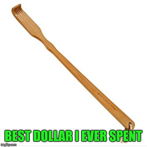 BEST DOLLAR I EVER SPENT | image tagged in memes | made w/ Imgflip meme maker