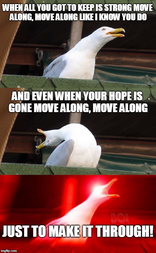 Move Along | WHEN ALL YOU GOT TO KEEP IS STRONG
MOVE ALONG, MOVE ALONG LIKE I KNOW YOU DO; AND EVEN WHEN YOUR HOPE IS GONE
MOVE ALONG, MOVE ALONG; JUST TO MAKE IT THROUGH! | image tagged in inhaling seagull | made w/ Imgflip meme maker