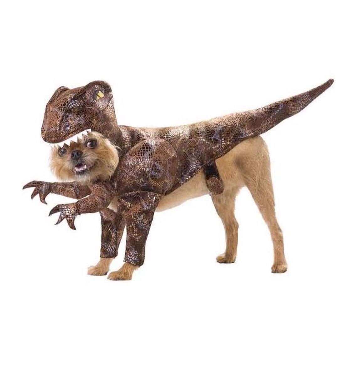High Quality Velociraptor Dog Costume Blank Meme Template