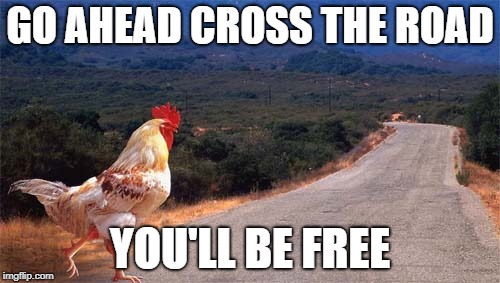 Cynical Chicken Joke | GO AHEAD CROSS THE ROAD; YOU'LL BE FREE | image tagged in why the chicken cross the road | made w/ Imgflip meme maker