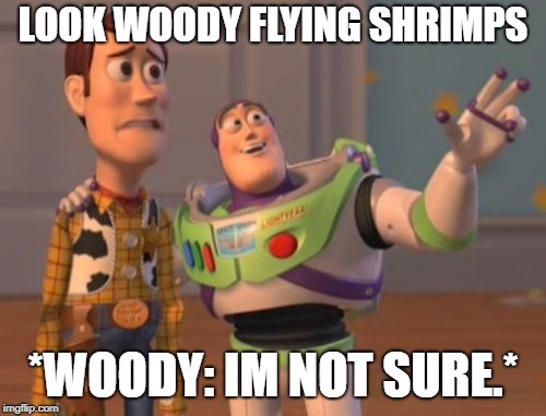 Shrimpo Meme | LOOK WOODY FLYING SHRIMPS; *WOODY: IM NOT SURE.* | image tagged in memes,x x everywhere | made w/ Imgflip meme maker