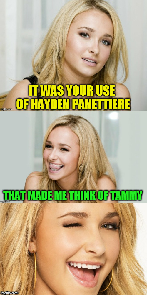 Bad Pun Hayden Panettiere | IT WAS YOUR USE OF HAYDEN PANETTIERE THAT MADE ME THINK OF TAMMY | image tagged in bad pun hayden panettiere | made w/ Imgflip meme maker