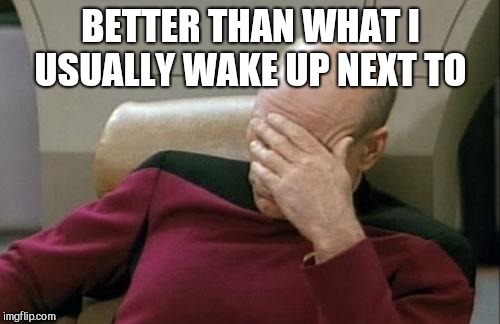 Captain Picard Facepalm Meme | BETTER THAN WHAT I USUALLY WAKE UP NEXT TO | image tagged in memes,captain picard facepalm | made w/ Imgflip meme maker