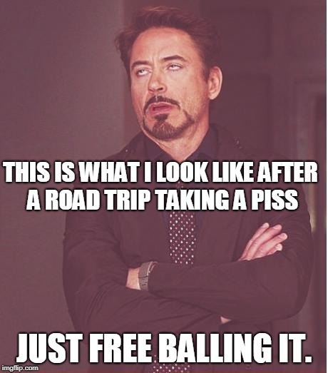 Face You Make Robert Downey Jr | THIS IS WHAT I LOOK LIKE AFTER A ROAD TRIP TAKING A PISS; JUST FREE BALLING IT. | image tagged in memes,face you make robert downey jr | made w/ Imgflip meme maker