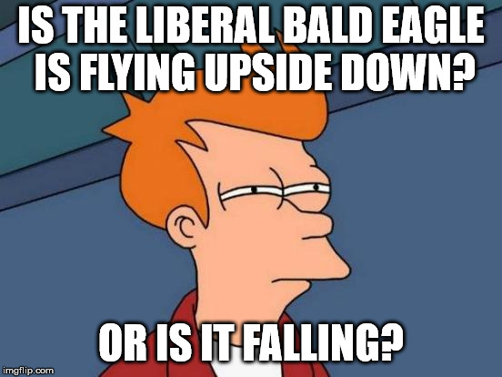 Futurama Fry Meme | IS THE LIBERAL BALD EAGLE IS FLYING UPSIDE DOWN? OR IS IT FALLING? | image tagged in memes,futurama fry | made w/ Imgflip meme maker