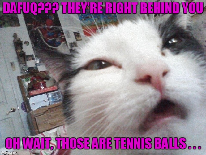 DAFUQ??? THEY'RE RIGHT BEHIND YOU OH WAIT, THOSE ARE TENNIS BALLS . . . | made w/ Imgflip meme maker