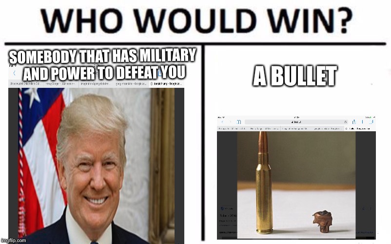 Who Would Win? | SOMEBODY THAT HAS MILITARY AND POWER TO DEFEAT YOU; A BULLET | image tagged in memes,who would win | made w/ Imgflip meme maker