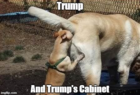 Trump And Trump's Cabinet | Trump And Trump's Cabinet | image tagged in trump's suckhole cabinet | made w/ Imgflip meme maker