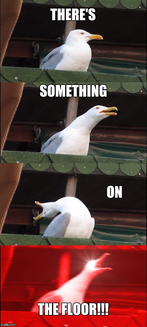 my mom when somethings on the floor in scorpion season | THERE'S; SOMETHING; ON; THE FLOOR!!! | image tagged in memes,inhaling seagull | made w/ Imgflip meme maker