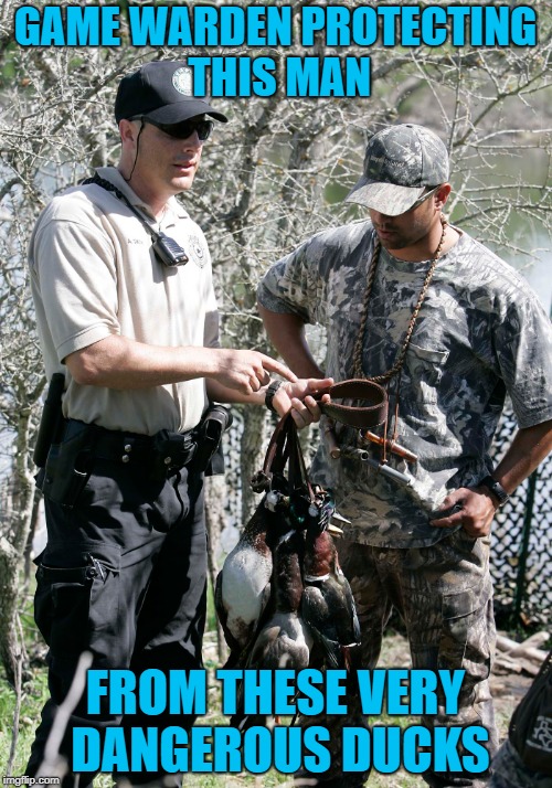 GAME WARDEN PROTECTING THIS MAN FROM THESE VERY DANGEROUS DUCKS | made w/ Imgflip meme maker