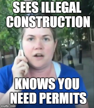 Permit Patty | SEES ILLEGAL CONSTRUCTION; KNOWS YOU NEED PERMITS | image tagged in permit patty | made w/ Imgflip meme maker