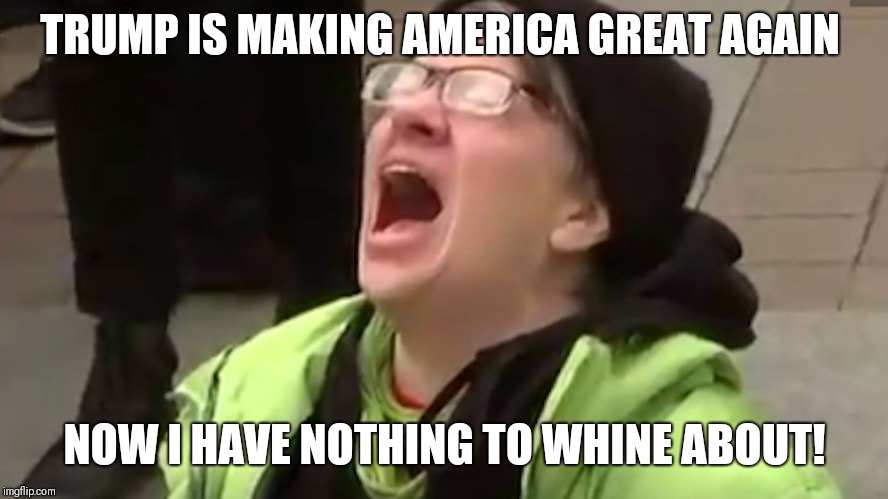 Screaming Liberal  | TRUMP IS MAKING AMERICA GREAT AGAIN; NOW I HAVE NOTHING TO WHINE ABOUT! | image tagged in screaming liberal | made w/ Imgflip meme maker