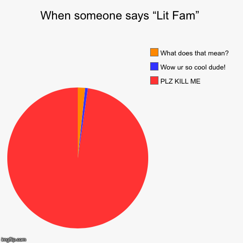 When someone says “Lit Fam” | PLZ KILL ME, Wow ur so cool dude!, What does that mean? | image tagged in funny,pie charts | made w/ Imgflip chart maker