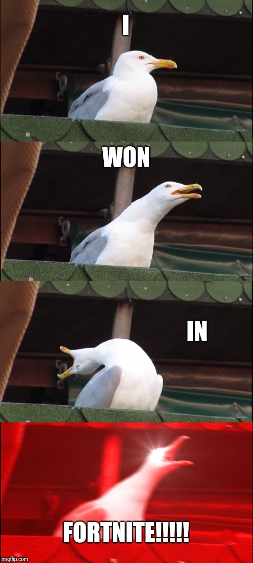 Inhaling Seagull | I; WON; IN; FORTNITE!!!!! | image tagged in memes,inhaling seagull | made w/ Imgflip meme maker