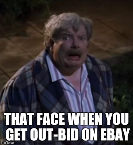Looks Like Vernon Dursley Was Out-Bid | THAT FACE WHEN YOU GET OUT-BID ON EBAY | image tagged in that face when 2,vernon dursley,out-bid | made w/ Imgflip meme maker