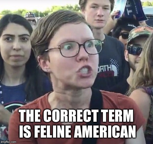 Triggered feminist | THE CORRECT TERM IS FELINE AMERICAN | image tagged in triggered feminist | made w/ Imgflip meme maker