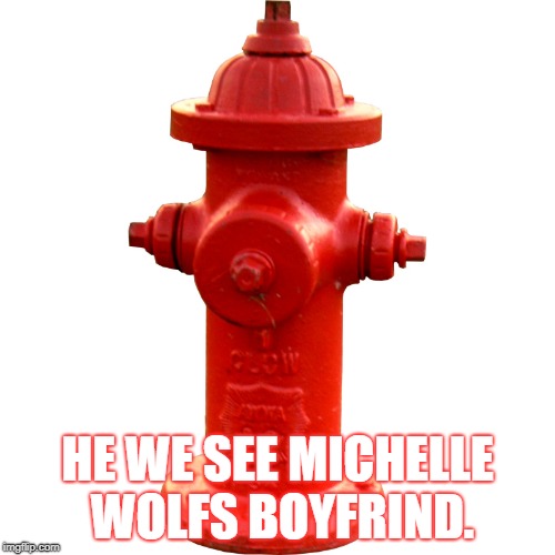 Fire hydrant  | HE WE SEE MICHELLE WOLFS BOYFRIND. | image tagged in fire hydrant | made w/ Imgflip meme maker