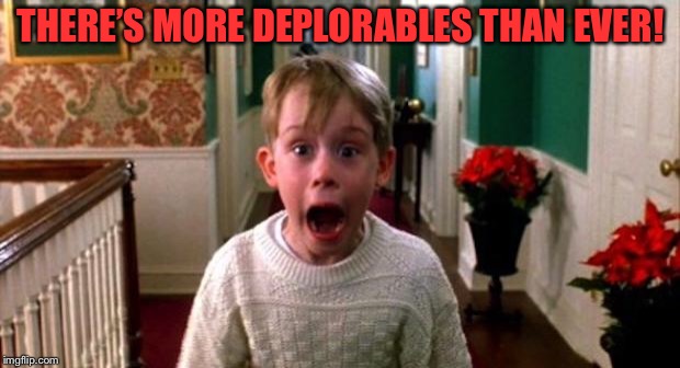 Kevin Home Alone | THERE’S MORE DEPLORABLES THAN EVER! | image tagged in kevin home alone | made w/ Imgflip meme maker