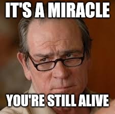 my face when someone asks a stupid question | IT'S A MIRACLE YOU'RE STILL ALIVE | image tagged in my face when someone asks a stupid question | made w/ Imgflip meme maker
