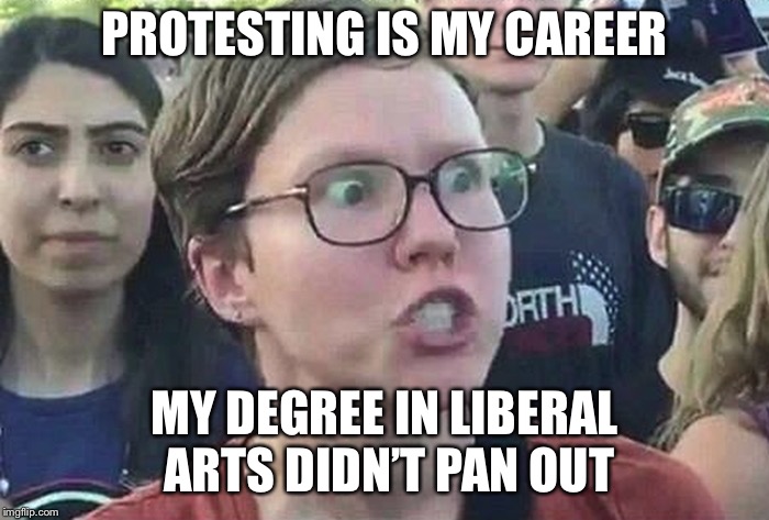 Triggered Liberal | PROTESTING IS MY CAREER MY DEGREE IN LIBERAL ARTS DIDN’T PAN OUT | image tagged in triggered liberal | made w/ Imgflip meme maker