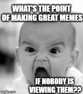 Angry Baby Meme | WHAT'S THE POINT OF MAKING GREAT MEMES IF NOBODY IS VIEWING THEM?? | image tagged in memes,angry baby | made w/ Imgflip meme maker