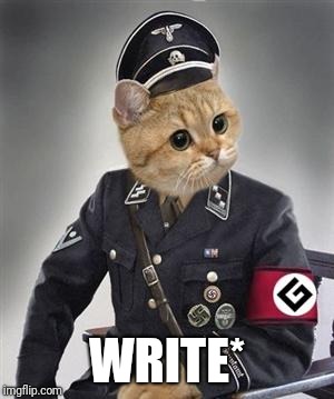 Grammar Nazi Cat | WRITE* | image tagged in grammar nazi cat | made w/ Imgflip meme maker