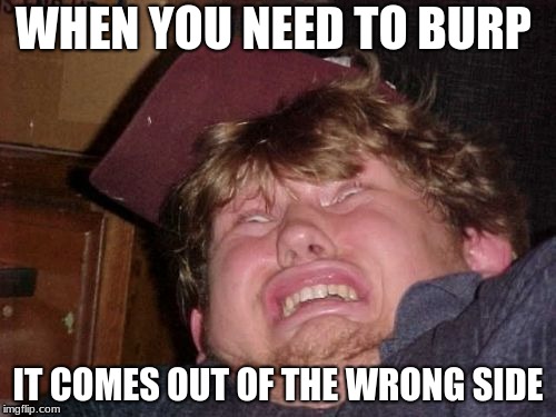 WTF Meme | WHEN YOU NEED TO BURP; IT COMES OUT OF THE WRONG SIDE | image tagged in memes,wtf | made w/ Imgflip meme maker