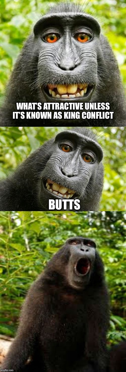 You probably know about but and the common badonkadonk ha! | WHAT’S ATTRACTIVE UNLESS IT’S KNOWN AS KING CONFLICT; BUTTS | image tagged in bad pun monkey,butts,memes,grammar | made w/ Imgflip meme maker