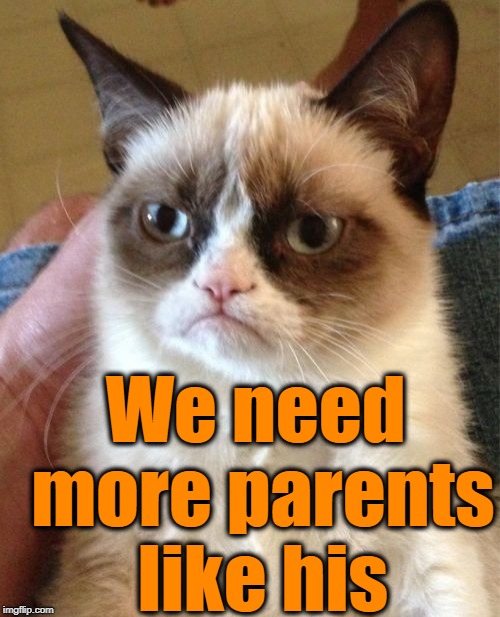 Grumpy Cat Meme | We need more parents like his | image tagged in memes,grumpy cat | made w/ Imgflip meme maker