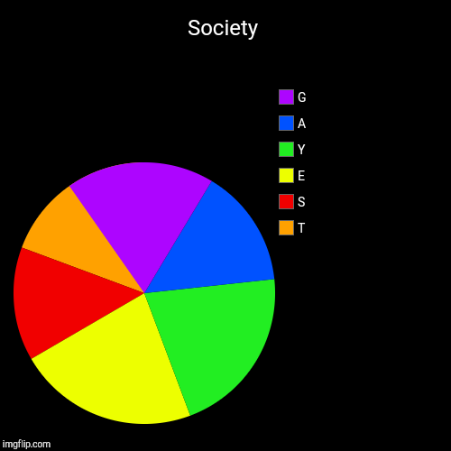 Society | T, S, E, Y, A, G | image tagged in funny,pie charts,gay pride | made w/ Imgflip chart maker