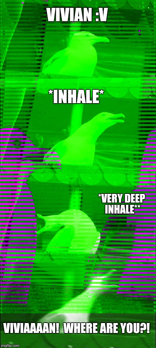 Inhaling Seagull Meme | VIVIAN :V; *INHALE*; *VERY DEEP INHALE**; VIVIAAAAN! 
WHERE ARE YOU?! | image tagged in memes,inhaling seagull | made w/ Imgflip meme maker