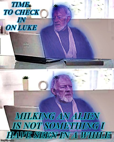 hide the kenobi... | TIME TO CHECK IN ON LUKE; MILKING AN ALIEN IS NOT SOMETHING I HAVE SEEN IN A WHILE | image tagged in hide the pain harold,obi wan kenobi,original meme,memestrocity,meme mash up | made w/ Imgflip meme maker