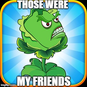 THOSE WERE MY FRIENDS | made w/ Imgflip meme maker