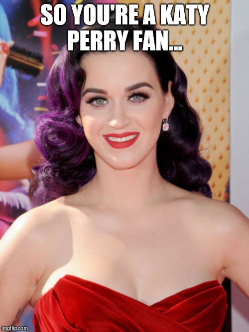 SO YOU'RE A KATY PERRY FAN... | made w/ Imgflip meme maker