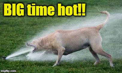 Thirsty Dog | BIG time hot!! | image tagged in thirsty dog | made w/ Imgflip meme maker