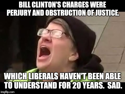 BILL CLINTON'S CHARGES WERE PERJURY AND OBSTRUCTION OF JUSTICE. WHICH LIBERALS HAVEN'T BEEN ABLE TO UNDERSTAND FOR 20 YEARS.  SAD. | made w/ Imgflip meme maker