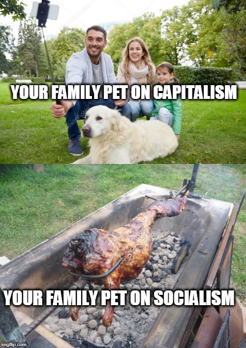 In socialist Venezuela, the government instructs starving people to eat their pets   | YOUR FAMILY PET ON CAPITALISM; YOUR FAMILY PET ON SOCIALISM | image tagged in capitalism,socialism,dogs,pets,venezuela,memes | made w/ Imgflip meme maker