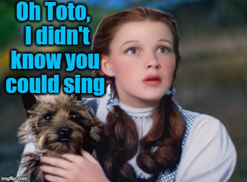 Toto Wizard of Oz | Oh Toto,  I didn't know you could sing | image tagged in toto wizard of oz | made w/ Imgflip meme maker