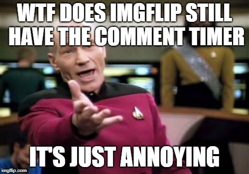 I mean come on it has no purpose | WTF DOES IMGFLIP STILL HAVE THE COMMENT TIMER; IT'S JUST ANNOYING | image tagged in memes,picard wtf | made w/ Imgflip meme maker