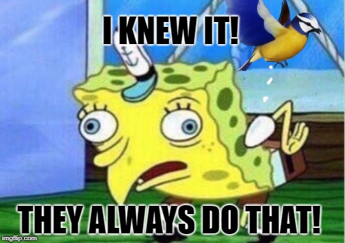 Mocking Spongebob Meme | I KNEW IT! THEY ALWAYS DO THAT! | image tagged in memes,mocking spongebob | made w/ Imgflip meme maker
