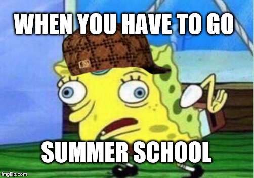 Mocking Spongebob Meme | WHEN YOU HAVE TO GO; SUMMER SCHOOL | image tagged in memes,mocking spongebob,scumbag | made w/ Imgflip meme maker