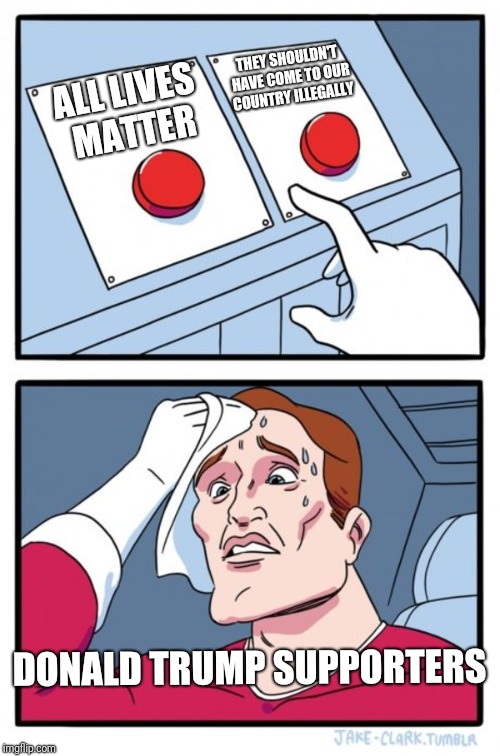 Two Buttons Meme | THEY SHOULDN'T HAVE COME TO OUR COUNTRY ILLEGALLY; ALL LIVES MATTER; DONALD TRUMP SUPPORTERS | image tagged in memes,two buttons | made w/ Imgflip meme maker