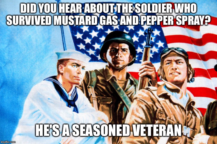 Did you hear about the soldier who survived mustard gas and pepper spray? | DID YOU HEAR ABOUT THE SOLDIER WHO SURVIVED MUSTARD GAS AND PEPPER SPRAY? HE'S A SEASONED VETERAN | image tagged in veterans day nfl boycott | made w/ Imgflip meme maker