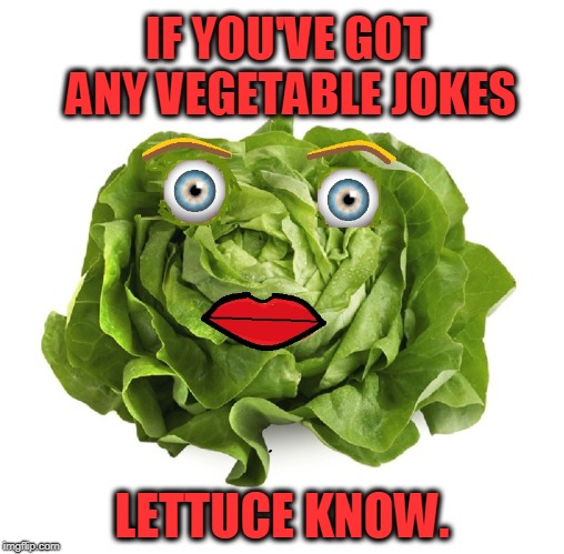 Lettuce Entertain You! | IF YOU'VE GOT ANY VEGETABLE JOKES LETTUCE KNOW. | image tagged in vince vance,vegetables,corny,lettuce,veggies,vegan | made w/ Imgflip meme maker