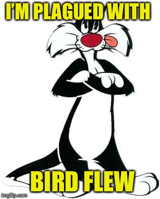 Sylvester the Cat | I’M PLAGUED WITH BIRD FLEW | image tagged in sylvester the cat | made w/ Imgflip meme maker